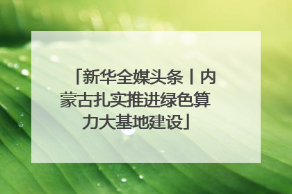 新华全媒头条丨内蒙古扎实推进绿色算力大基地建设