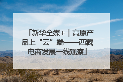 新华全媒+｜高原产品上“云”端——西藏电商发展一线观察
