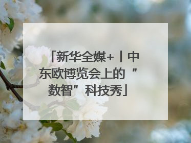 新华全媒+丨中东欧博览会上的“数智”科技秀