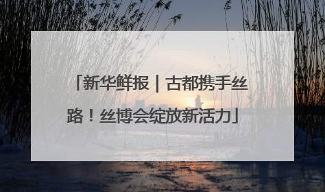 新华鲜报｜古都携手丝路！丝博会绽放新活力