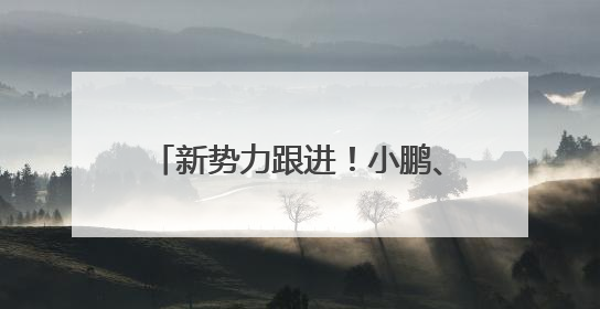 新势力跟进！小鹏、小米宣布将供应商支付账期统一至60天内