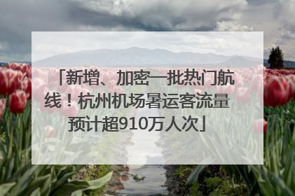 新增、加密一批热门航线！杭州机场暑运客流量预计超910万人次