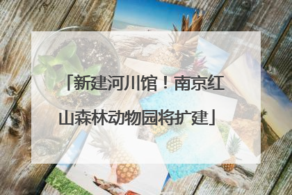 新建河川馆！南京红山森林动物园将扩建