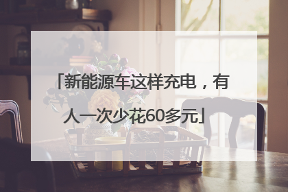 新能源车这样充电,有人一次少花60多元