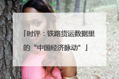 时评：铁路货运数据里的“中国经济脉动”