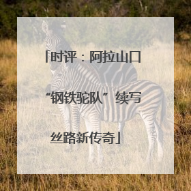 时评：阿拉山口“钢铁驼队”续写丝路新传奇