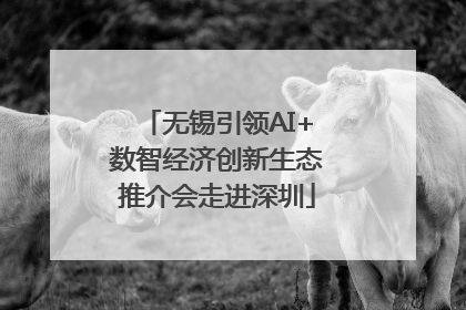 无锡引领AI+数智经济创新生态推介会走进深圳
