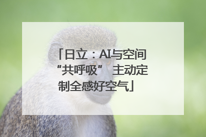 日立：AI与空间“共呼吸” 主动定制全感好空气
