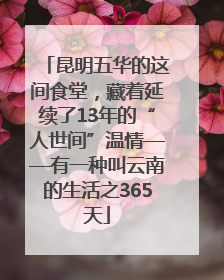 昆明五华的这间食堂，藏着延续了13年的“人世间”温情——有一种叫云南的生活之365天