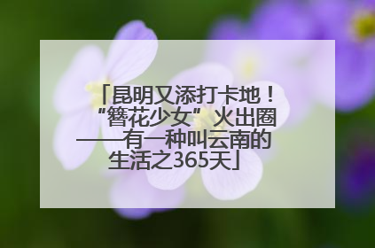 昆明又添打卡地！“簪花少女”火出圈——有一种叫云南的生活之365天