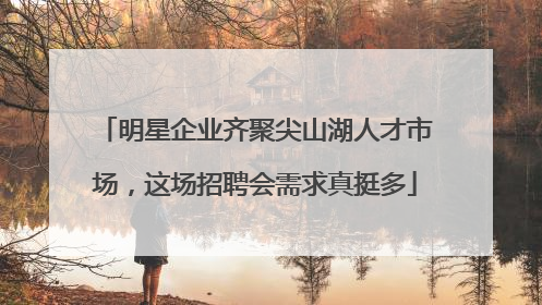 明星企业齐聚尖山湖人才市场，这场招聘会需求真挺多