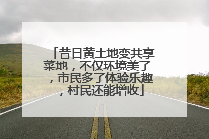 昔日黄土地变共享菜地，不仅环境美了，市民多了体验乐趣，村民还能增收