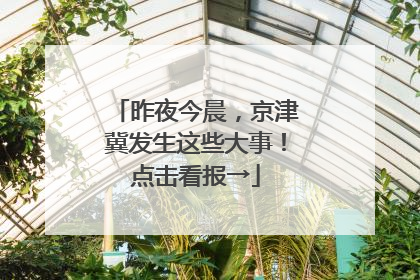 昨夜今晨，京津冀发生这些大事！点击看报→