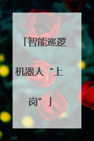 智能巡逻机器人“上岗”