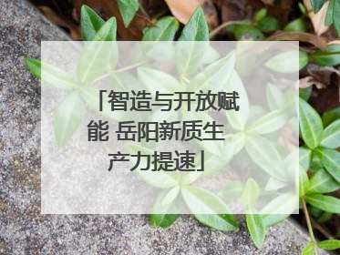 智造与开放赋能 岳阳新质生产力提速