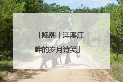 晚潮｜洋溪江畔的岁月诗笺
