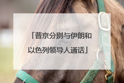 普京分别与伊朗和以色列领导人通话