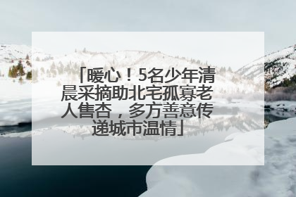 暖心！5名少年清晨采摘助北宅孤寡老人售杏，多方善意传递城市温情