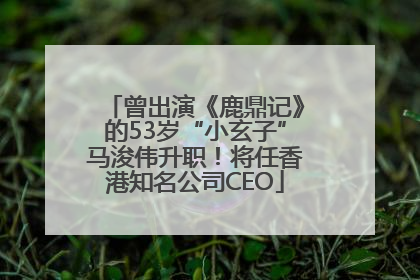 曾出演《鹿鼎记》的53岁“小玄子”马浚伟升职！将任香港知名公司CEO