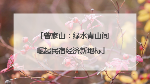 曾家山：绿水青山间崛起民宿经济新地标