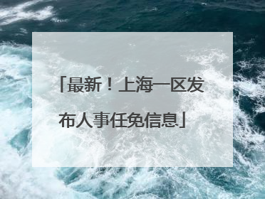 最新！上海一区发布人事任免信息