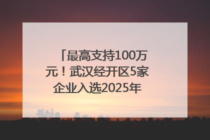 最高支持100万元！武汉经开区5家企业入选2025年度武汉市重点研发计划拟立项项目名单