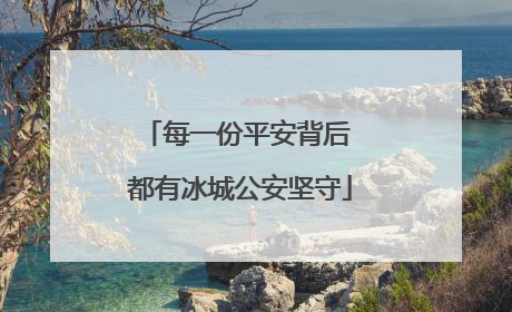 每一份平安背后 都有冰城公安坚守