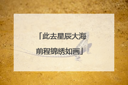 此去星辰大海 前程锦绣如画