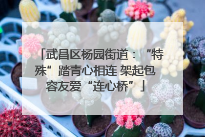 武昌区杨园街道：“特殊”踏青心相连 架起包容友爱“连心桥”