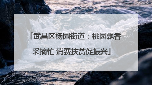 武昌区杨园街道：桃园飘香采摘忙 消费扶贫促振兴