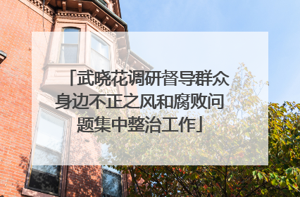 武晓花调研督导群众身边不正之风和腐败问题集中整治工作
