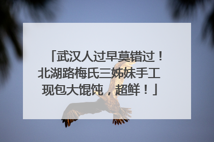 武汉人过早莫错过！北湖路梅氏三姊妹手工现包大馄饨，超鲜！