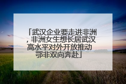 武汉企业要走进非洲，非洲女生想长居武汉 高水平对外开放推动鄂非双向奔赴