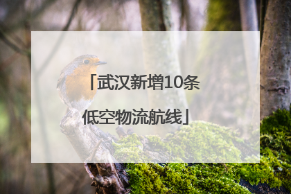 武汉新增10条低空物流航线