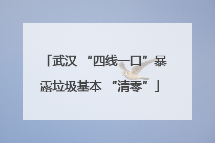 武汉 “四线一口”暴露垃圾基本 “清零”
