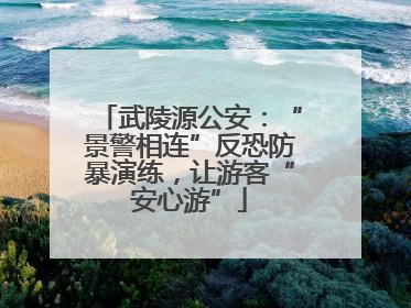 武陵源公安：“景警相连”反恐防暴演练，让游客“安心游”