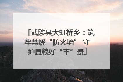 武陟县大虹桥乡：筑牢禁烧“防火墙” 守护夏粮好“丰”景