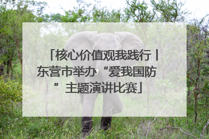 核心价值观我践行丨东营市举办“爱我国防”主题演讲比赛