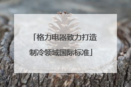 格力电器致力打造制冷领域国际标准