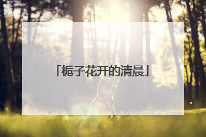 栀子花开的清晨