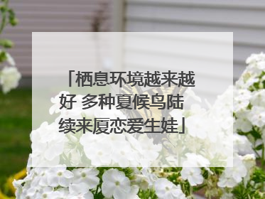 栖息环境越来越好 多种夏候鸟陆续来厦恋爱生娃