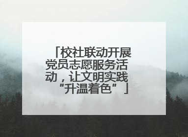 校社联动开展党员志愿服务活动，让文明实践“升温着色”