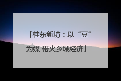 桂东新坊：以“豆”为媒 带火乡域经济