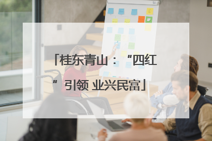 桂东青山：“四红”引领 业兴民富