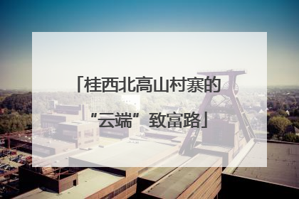 桂西北高山村寨的“云端”致富路