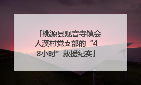 桃源县观音寺镇会人溪村党支部的“48小时”救援纪实