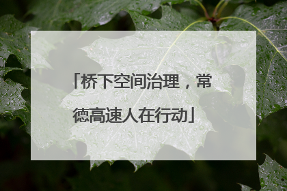 桥下空间治理，常德高速人在行动