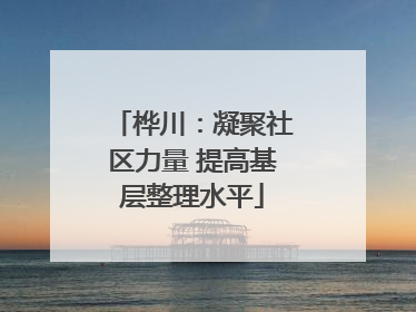桦川：凝聚社区力量 提高基层整理水平