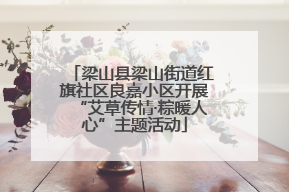 梁山县梁山街道红旗社区良嘉小区开展“艾草传情·粽暖人心”主题活动