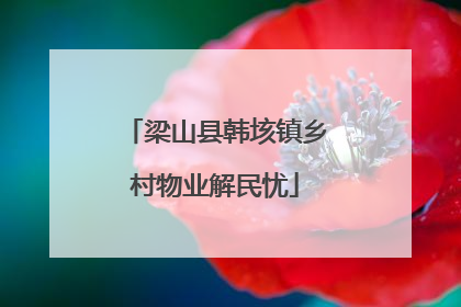 梁山县韩垓镇乡村物业解民忧